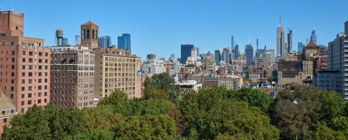 New York skyline with trees