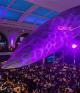 Attendees at Weinfeld Gala gathered under giant whale