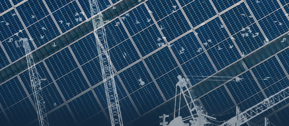 Aerial view of solar panels, with construction cranes overlaid.