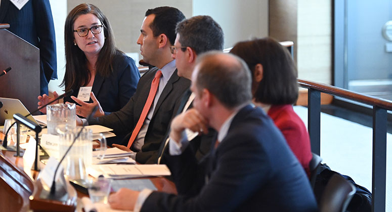 Ellen Lafferty, Zach Goldman, Matthew Levine, Ellen Zimiles, and Justin Lerer on panel