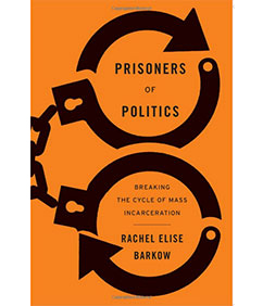 Prisoners of Politics book cover art