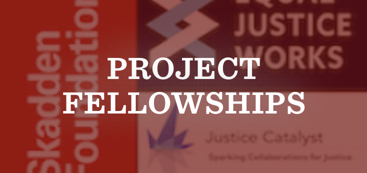 Project Fellowships