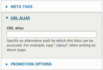 Screenshot of Drupal URL Alias field