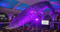 Attendees at Weinfeld Gala gathered under giant whale