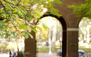 Arches of Vanderbilt Hall