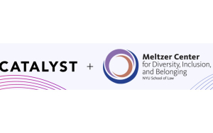 Catalyst and Meltzer Center logo