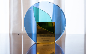 Grunin Prize trophy