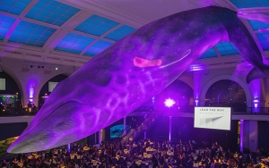 Attendees at Weinfeld Gala gathered under giant whale