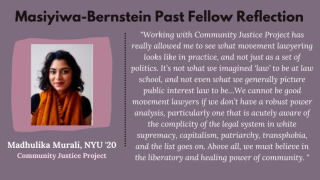 masiyiwa-bernstein past fellow reflection