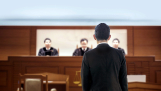 self-represented-litigant