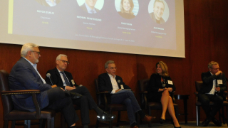 MP panel