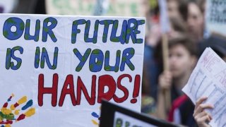 Protest Signs
