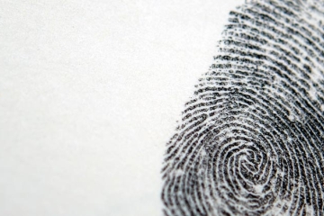 fingerprint