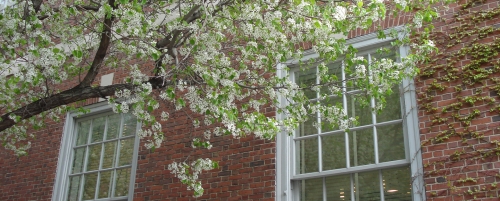 Close up of windows in front of Vanderbilt Hall