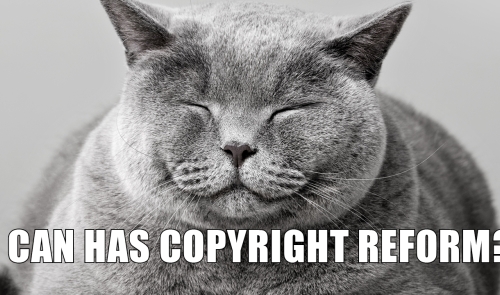 Cat with I Can Has Copyright Reform? written over it