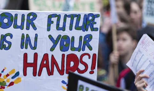 Protest Signs