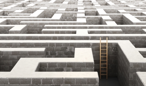 ladder in a maze