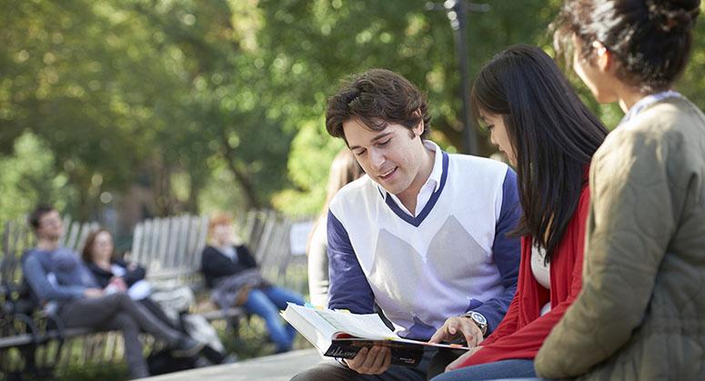 Students talking in the park