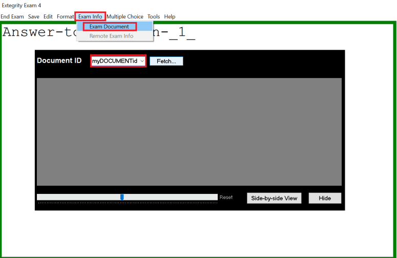 Document ID in Exam4