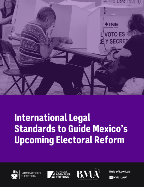 This is a report about electoral reforms in Mexico.