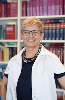 Global Fellow Sabine Gless