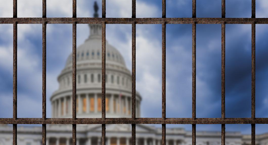 View of the Capitol building from behind bars