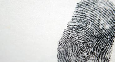 fingerprint