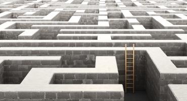 ladder in a maze