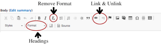 Edit toolbar with circles around Remove Format button, Link and Unlink buttons, and Format dropdown