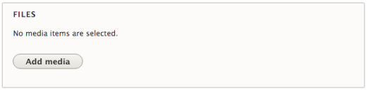 Screenshot of Files box in Drupal