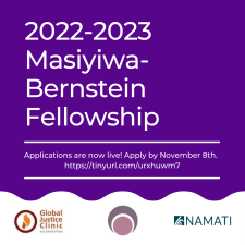 2022-20223 Masiyiwa-Bernstein Fellowship announcment