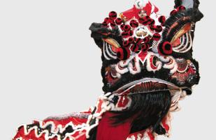 Chinese New Year lion costume