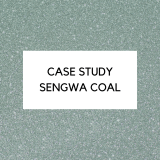Case Study Sengwa Coal
