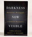 Gilligan Richards Darkness Now Visible book cover