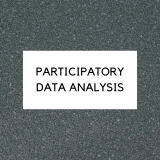 Participatory Data Analysis
