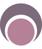 Robert L. Bernstein Institute for Human Rights logo