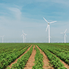 A green farm field with numerous wind turbines in the distance.