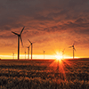 Wind turbines in a field against an orange sunset.