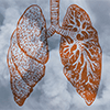 An illustration of human lungs, overlaid on a smoky background.