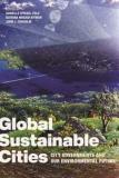 Global Sustainable Cities book cover