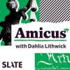 Amicus Podcast Image
